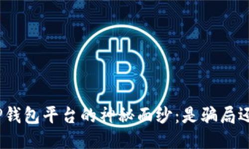 : 揭开TP钱包平台的神秘面纱：是骗局还是机遇？