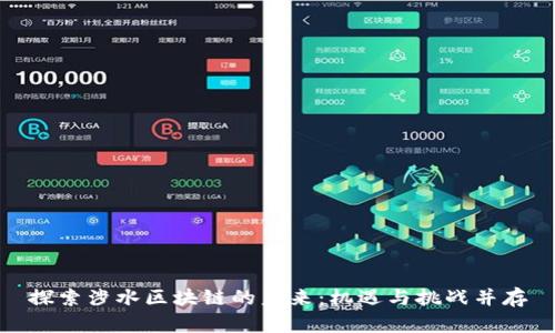 探索涉水区块链的未来：机遇与挑战并存