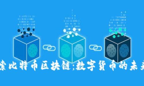 深入探索比特币区块链：数字货币的未来与潜力