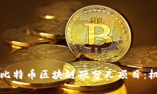 深入探讨比特币区块链硬分叉项目：机遇与挑战