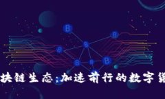 狗狗币区块链生态：加速