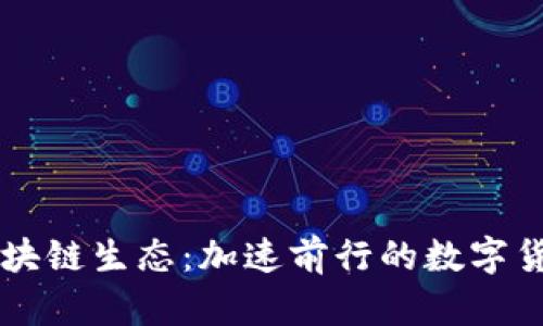 狗狗币区块链生态：加速前行的数字货币新势力