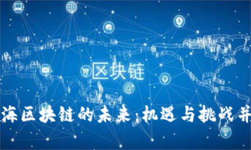 青海区块链的未来：机遇与挑战并存