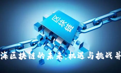 青海区块链的未来：机遇与挑战并存