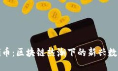 揭密Pi币：区块链热潮下的