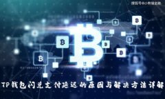 TP钱包闪兑支付延迟的原因与解决方法详解