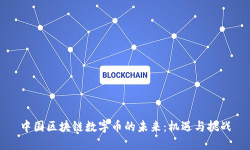 中国区块链数字币的未来：机遇与挑战