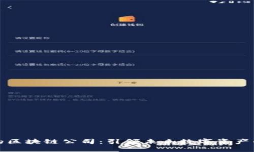 大网币的区块链公司：引领未来数字资产的新航向