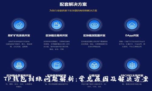 TP钱包到账问题解析：常见原因及解决方案