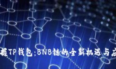 掌握TP钱包：BNB链的全新机