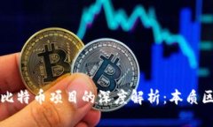 区块链项目与比特币项目