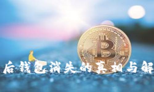 TP卸载后钱包消失的真相与解决方案
