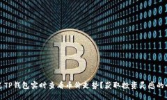 如何通过TP钱包实时查看币