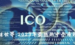 探索区块链世界：2023年最