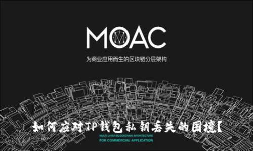 如何应对TP钱包私钥丢失的困境？