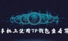 如何在苹果手机上使用T