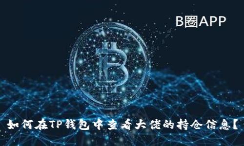 如何在TP钱包中查看大佬的持仓信息？