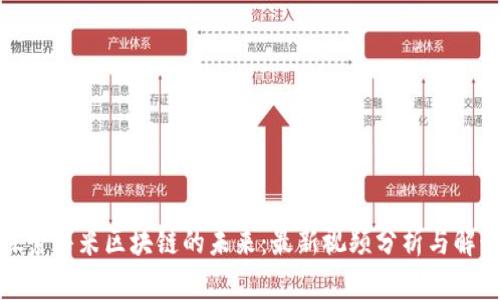 探索虾米区块链的未来：最新视频分析与解读