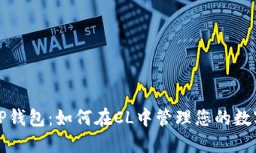 探索TP钱包：如何在CL中管理您的数字资产