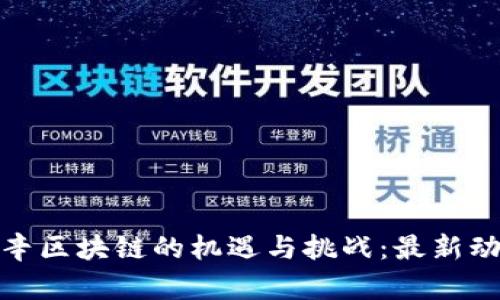 探索利辛区块链的机遇与挑战:最新动态解读
