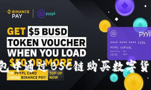 如何在TP钱包中通过BSC链购买数字货币：详细指南