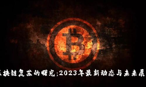 区块链复苏的曙光：2023年最新动态与未来展望
