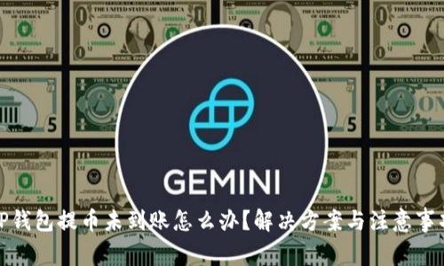 TP钱包提币未到账怎么办？解决方案与注意事项