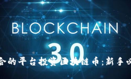 选择适合的平台投资区块链币：新手必读指南