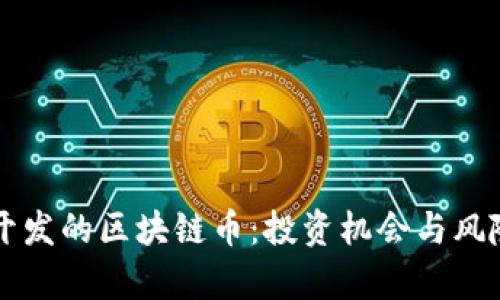 国内开发的区块链币：投资机会与风险分析