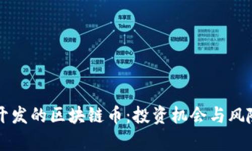 国内开发的区块链币：投资机会与风险分析