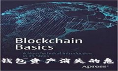 如何应对TP钱包资产消失的