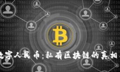 深入探讨数字人民币：私