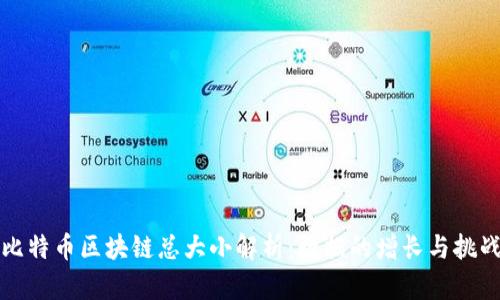 比特币区块链总大小解析：数据的增长与挑战
