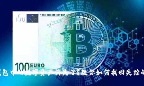 TP钱包中的数字资产消失了？教你如何找回失踪的币！