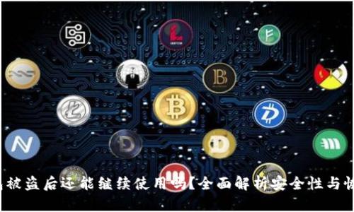  TP钱包被盗后还能继续使用吗？全面解析安全性与恢复策略