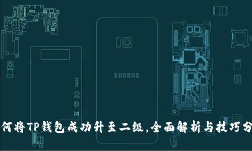 如何将TP钱包成功升至二级，全面解析与技巧分享
