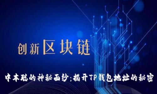 中本聪的神秘面纱：揭开TP钱包地址的秘密