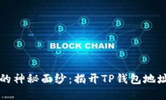 中本聪的神秘面纱：揭开