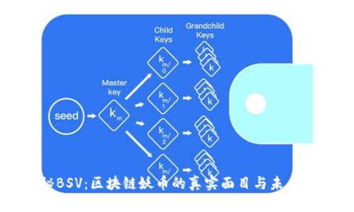 揭秘BSV：区块链妖币的真实面目与未来潜力