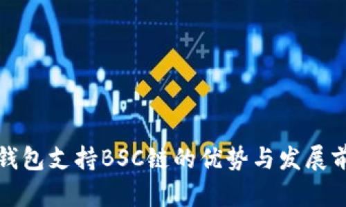TP钱包支持BSC链的优势与发展前景