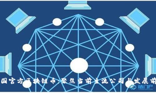 中国官方区块链币：聚焦当前主流公司与发展前景