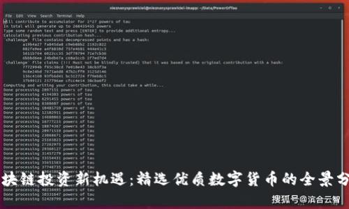 区块链投资新机遇：精选优质数字货币的全景分析