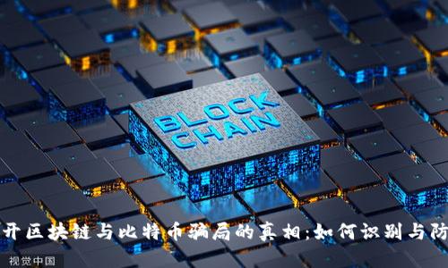 揭开区块链与比特币骗局的真相：如何识别与防范