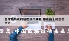 币链分离：中国区块链的