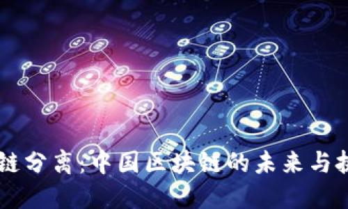 币链分离：中国区块链的未来与挑战