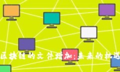 比特币区块链的文件增加