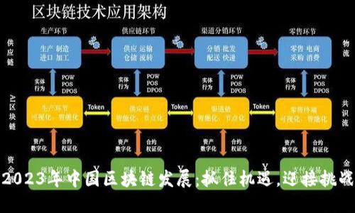 2023年中国区块链发展：抓住机遇，迎接挑战