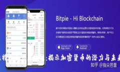 比特币白马区块链：揭示