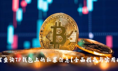 如何查询TP钱包上的私募信息？全面指南与实用技巧