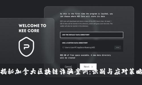揭秘加拿大区块链诈骗案例：识别与应对策略